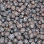 Makhana Seed