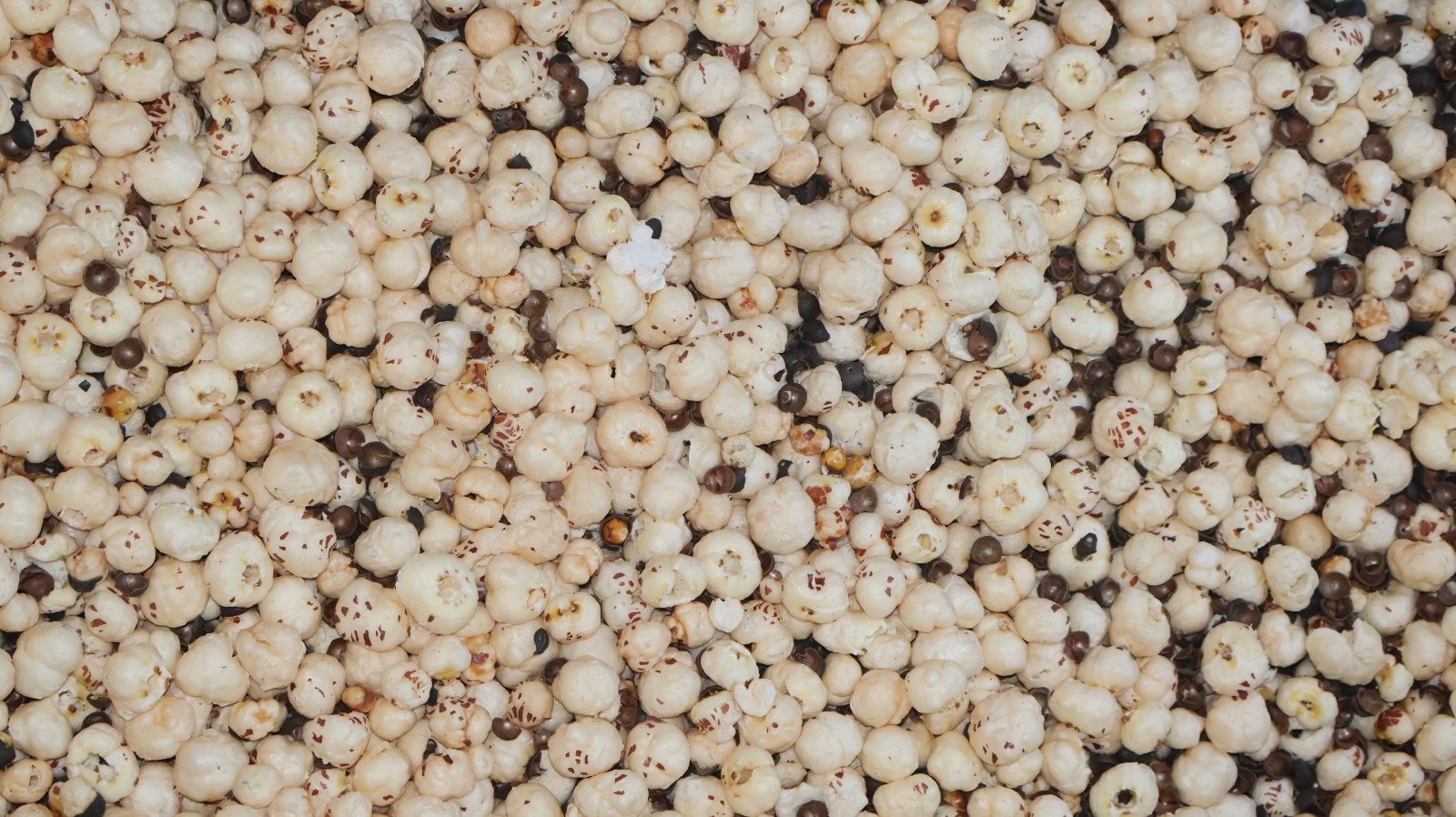 Makhana